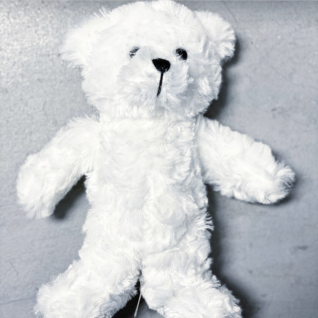White Plush Bear